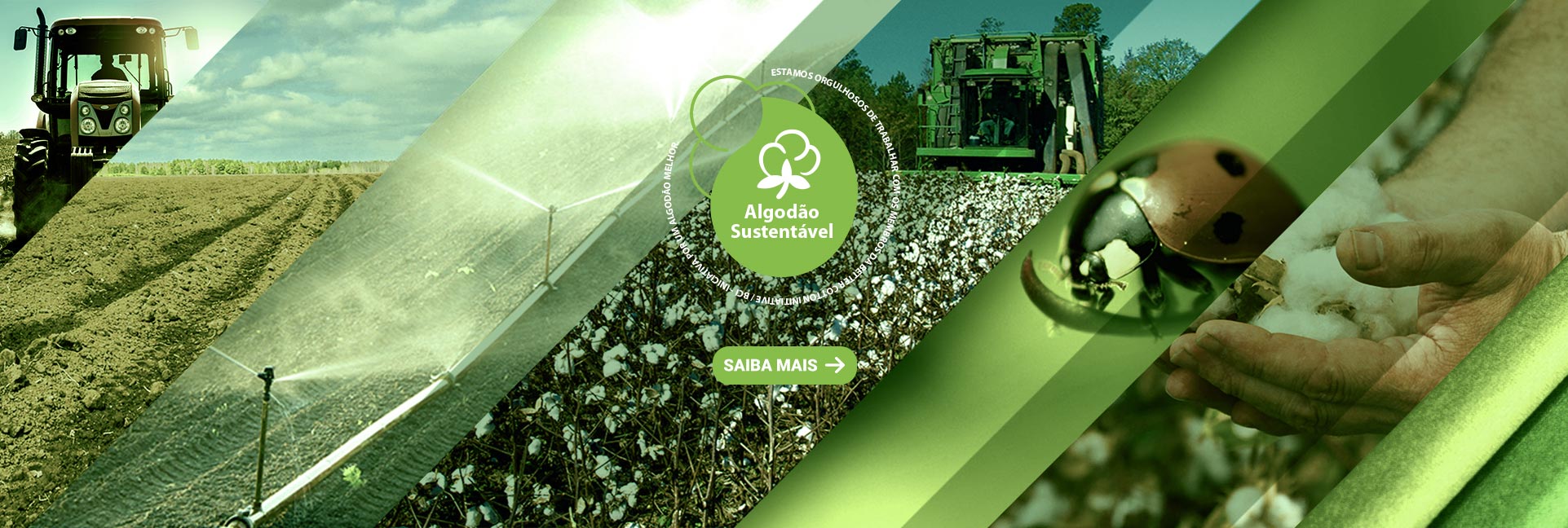 Algodão Sustentável - Política de Algodão Licenciado BCI - Better Cotton Initiative